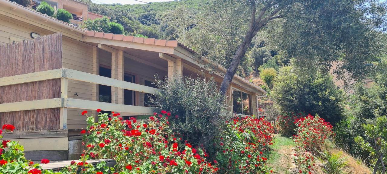 Willa Les Terrasses De Scaglioli Villanova Zewnętrze zdjęcie