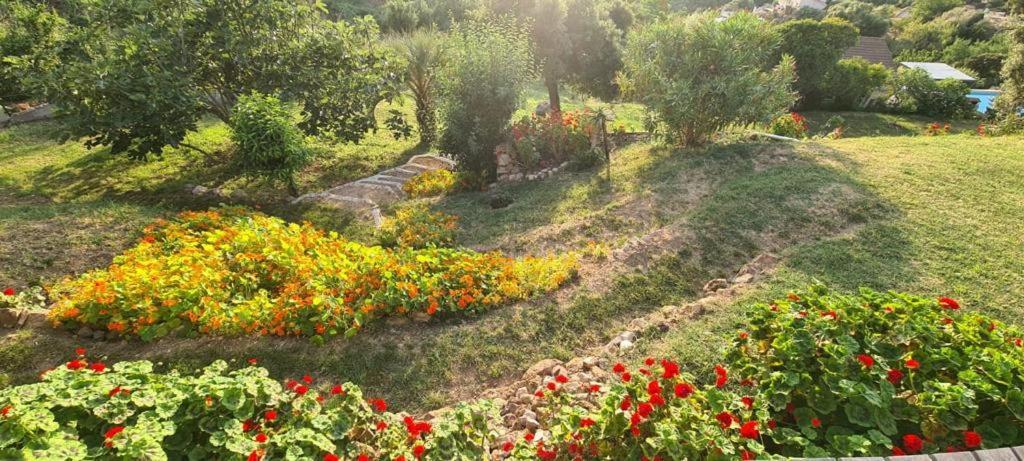 Willa Les Terrasses De Scaglioli Villanova Zewnętrze zdjęcie